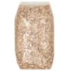 Copos De Trigo Espelta Eco Bionsan 500gr