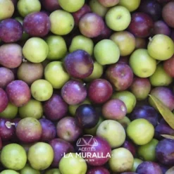 Cortijo La Muralla | Aceite De Oliva Virgen Extra | Variedad Arbequina | Botella 2 L (caja de 8)