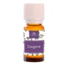 Cosgard, Camassia,10 ml