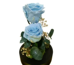 Cúpula 2 Rosas Azul Claro 12x20cm