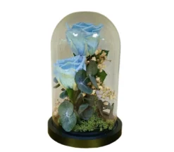 Cúpula 2 Rosas Azul Claro 12x20cm