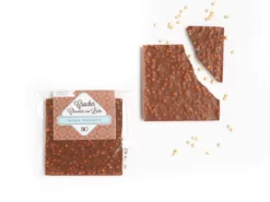 Cracker Bio de chocolate con leche crujiente