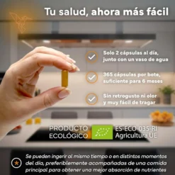 Cúrcuma + Jengibre Sevens Nutrition 365 cápsulas