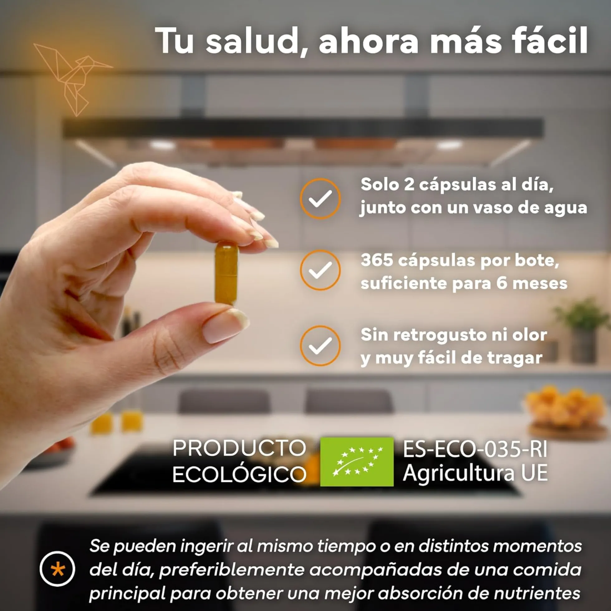 Cúrcuma + Jengibre Sevens Nutrition 365 cápsulas