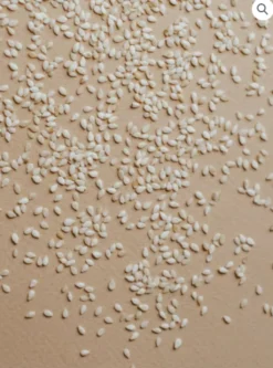 Crema De Sésamo (tahín) Eco 200g.