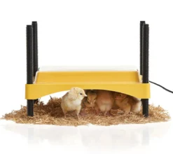 Criadora De Pollitos Brinsea Ecoglow De Bajo Consumo - 12 W - 20 Pollitos