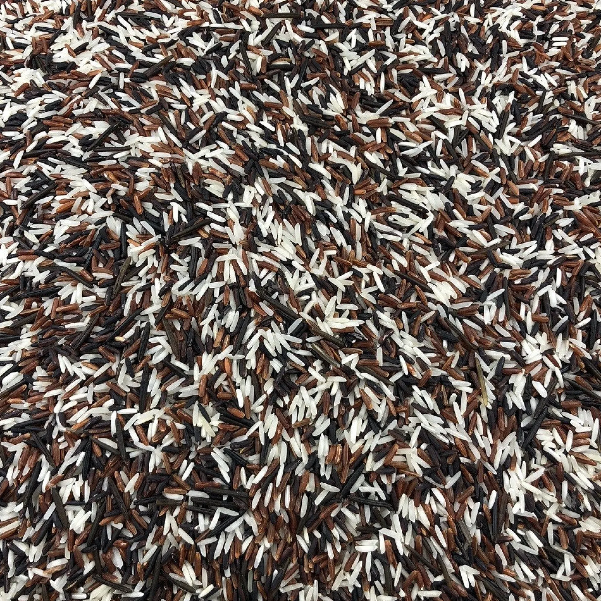 Cáscara De Psyllium Rubio Bio Granel 25 Kg