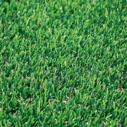 Césped Denia Xtra S20: La Sofisticación Natural Para Tu Jardín - 2x20 M - Multicolor