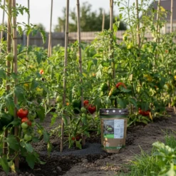Cultivers Harina De Roca 20 Kg Mineral Fertilizante De Basalto | Silicio 46% Hierro 12% Calcio 11% Y Magnesio 9%…