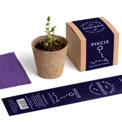 Cultivos del Zodiaco – Piscis, Kit de Cultivo con Semillas de Tomate, Regalo Astrológico - Resetea
