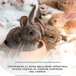 CuniDigest – Complemento nutricional líquido (250ml) para conejos – Apoyo digestivo en periodos sensibles