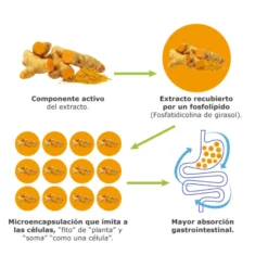 Curcufit 100% Natural 90 cápsulas