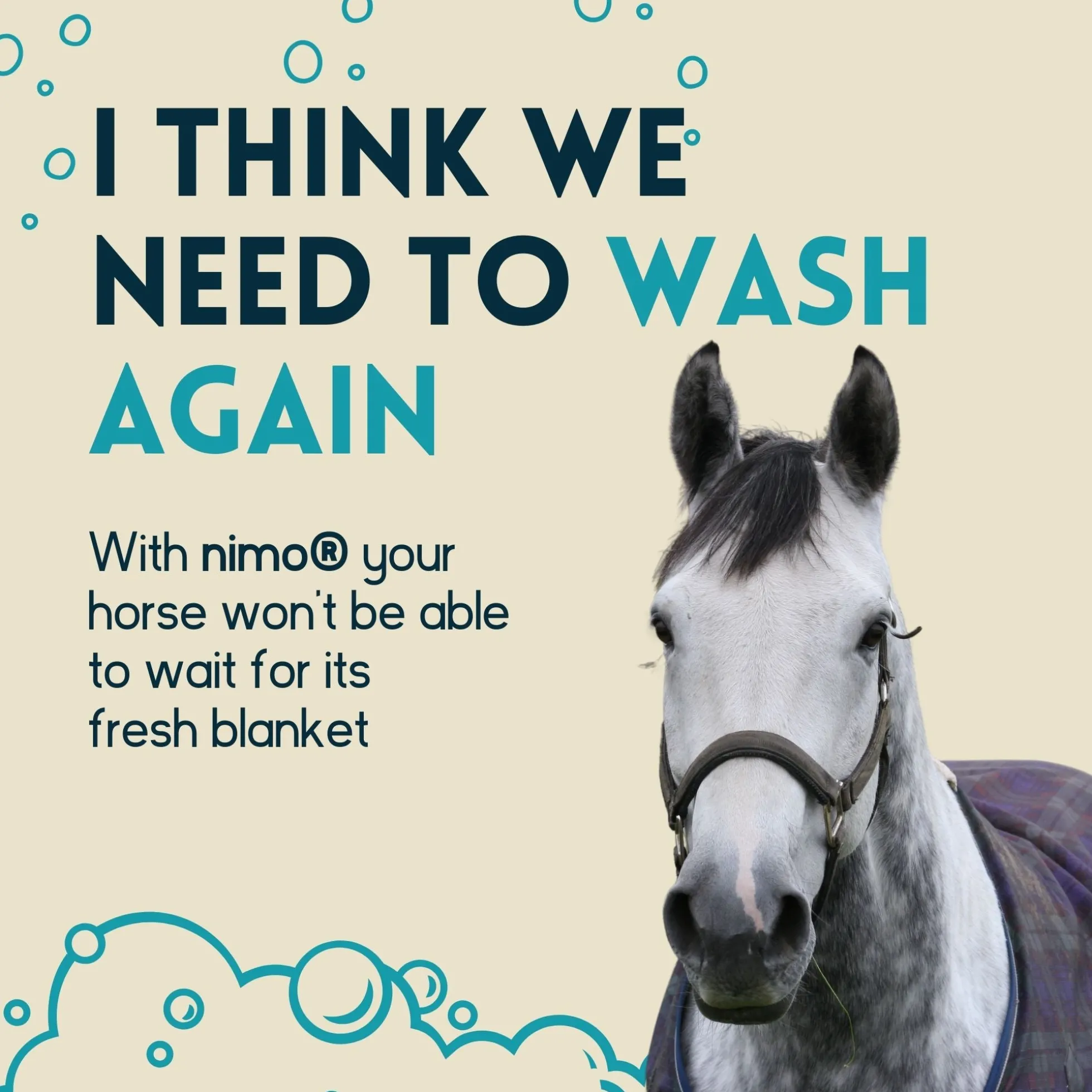 Detergente Para Mantas De Caballo - Nimo - 5 L