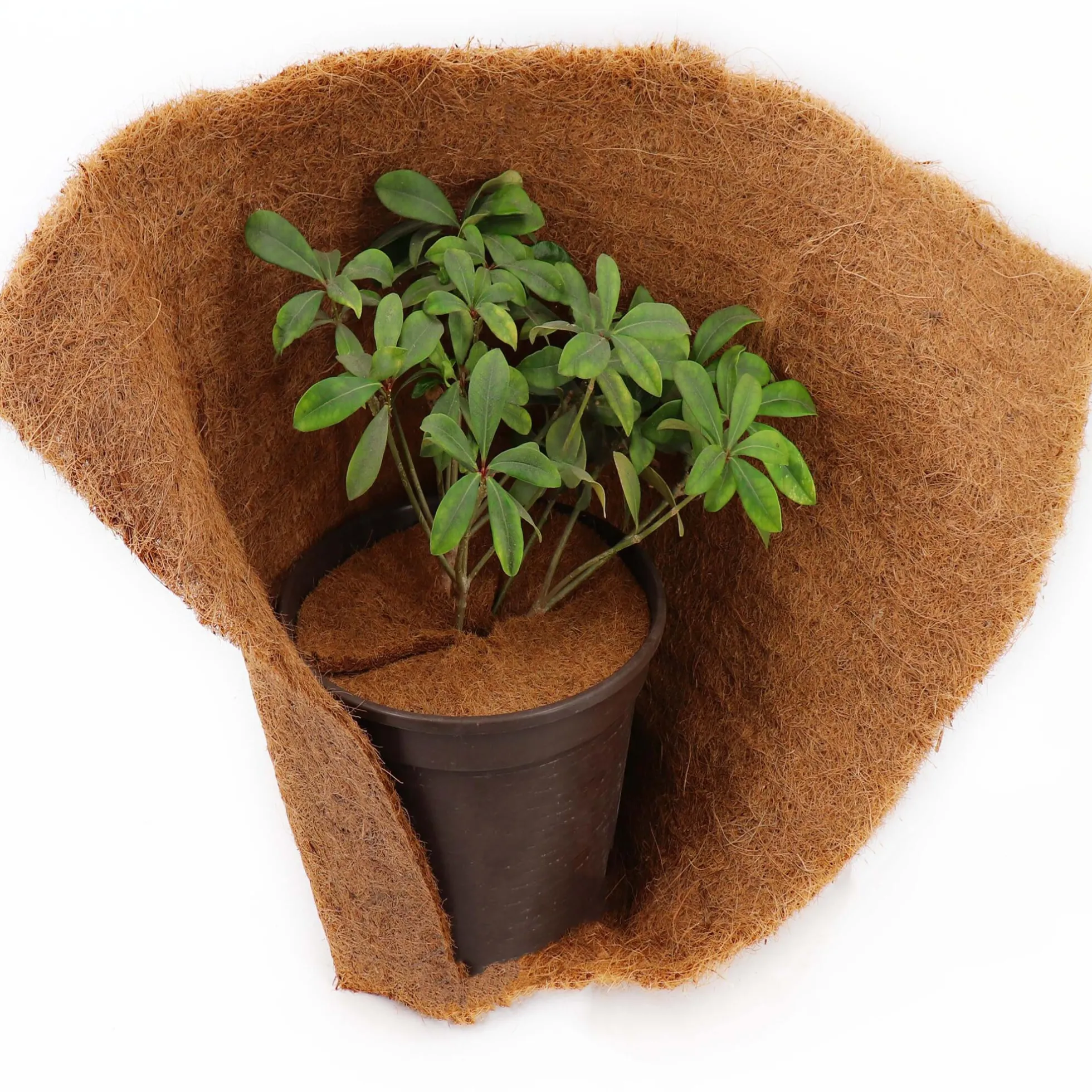 1 Disco Mulching De Coco 45cm Estera De Fibra De Coco Estera Protectora De Plantas De Fibra De Coco Coco