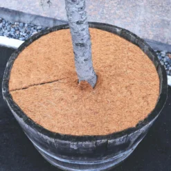 1 Disco Mulching De Coco Estera De Fibra De Coco De 60 Cm Estera Protectora De Plantas De Fibra De Coco Coco