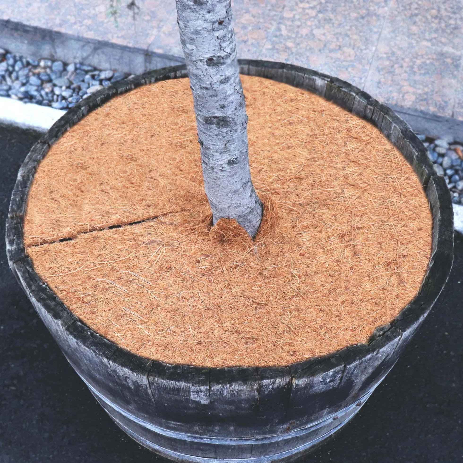 1 Disco Mulching De Coco Estera De Fibra De Coco De 60 Cm Estera Protectora De Plantas De Fibra De Coco Coco