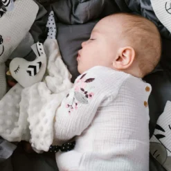 Dou Dou Peluche Bebe Little Bird