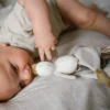 Dou Dou Peluche De Apego Ganso Zoe