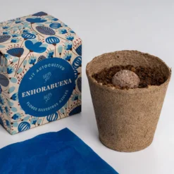Díselo con Flores "Enhorabuena" Kit Cultivo Flores Silvestres Azules | Regalo Original - Resetea