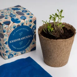 Díselo con Flores "Enhorabuena" Kit Cultivo Flores Silvestres Azules | Regalo Original - Resetea