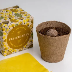 Díselo con Flores "Felicidades" Kit Autocultivo Flores Silvestres Amarillas - Resetea