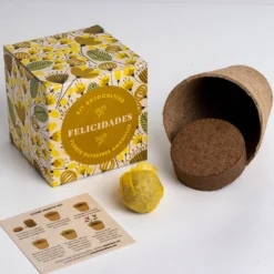Díselo con Flores "Felicidades" Kit Autocultivo Flores Silvestres Amarillas - Resetea