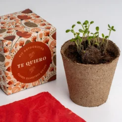 Díselo con Flores "Te Quiero" Kit Cultivo Flores Silvestres Rojas | Regalo Original - Resetea