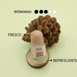 Esencia Natural Eucalipto SYS Aromas 12 ml | Aroma Herbal y Balsámico | Para Quemadores y Humidificadores