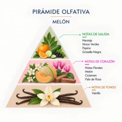 Esencia Natural Melón SYS Aromas 12 ml | Aroma Frutal y Dulce | Para Quemadores y Humidificadores