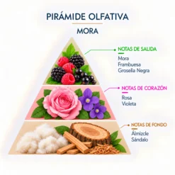 Esencia Natural Mora SYS Aromas 12 ml | Aroma Dulce y Afrutado | Para Quemadores y Humidificadores