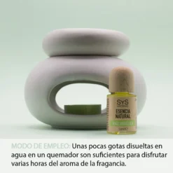 Esencia Natural Raíz Angélica SYS Aromas 12 ml | Aroma Herbal y Balsámico | Para Quemadores y Humidificadores
