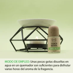 Esencia Natural Árbol de Té SYS Aromas 12 ml | Aroma Fresco y Herbal | Para Quemadores y Humidificadores