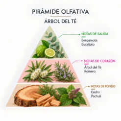 Esencia Natural Árbol de Té SYS Aromas 12 ml | Aroma Fresco y Herbal | Para Quemadores y Humidificadores