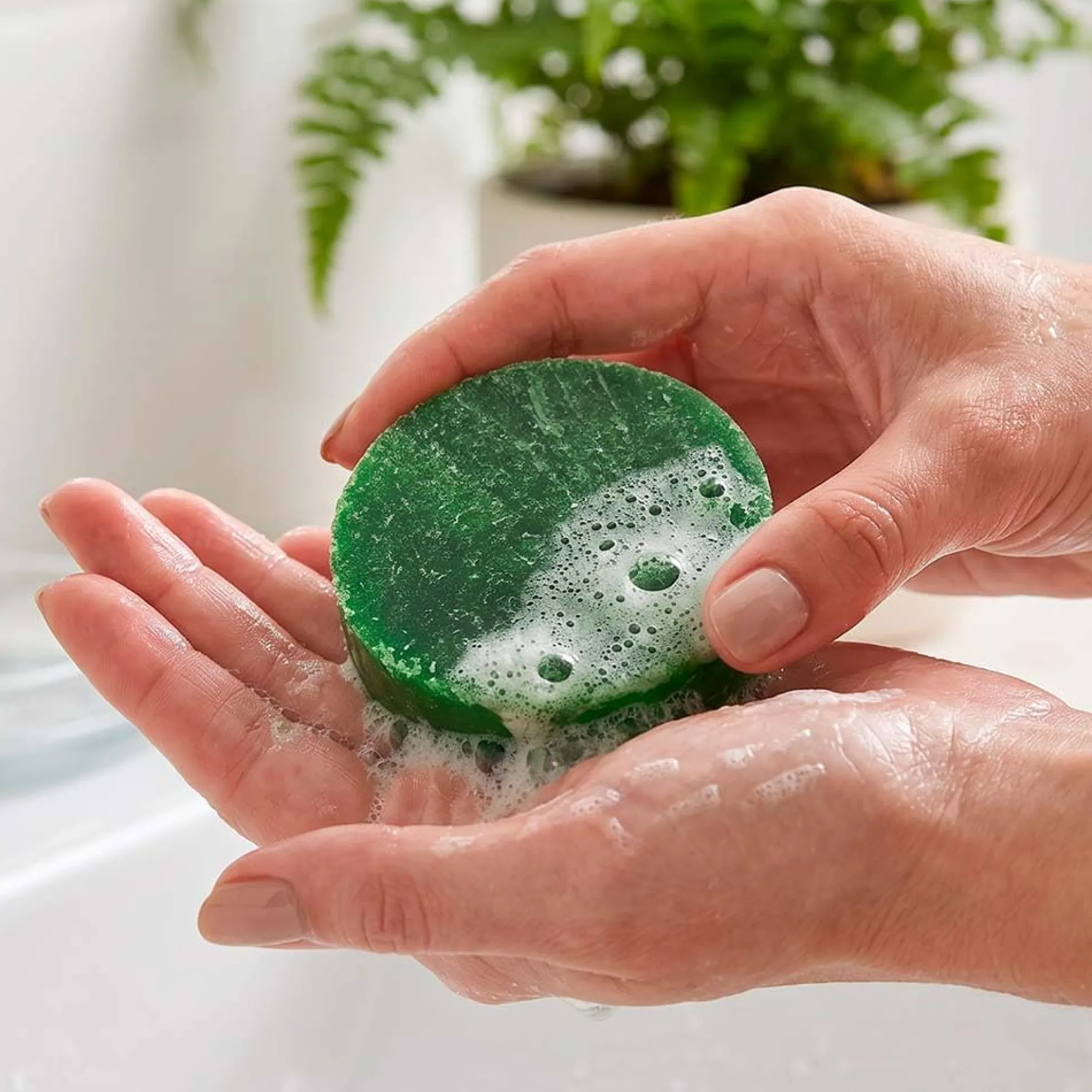 10 Esponjas Jabonosas Varios Usos. Aroma Papaya. Ideal Para Viaje O Gym. Todo Tipo De Piel. Con Extracto De Aloe Vera