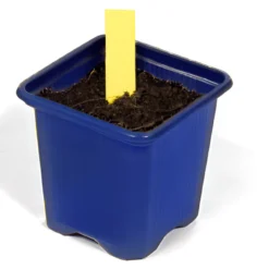 Etiqueta Para Planta Amarilla 1,3 X 6 Cm 500 Unidades