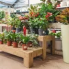 Expositor Escalera De Madera Podium Hortalia