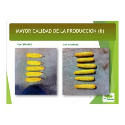 Fertilizante Chamae + Fúlvicos Ecológico 5 Litros, Uso Doméstico.