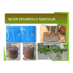 Fertilizante Chamae + Fúlvicos Ecológico 1 Litro, Uso Doméstico.