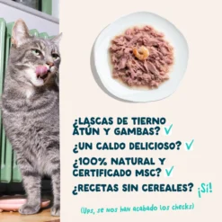 Filetes de atún con gambas para gatos Edgard & Cooper 70 g