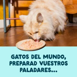 Filetes de atún con gambas para gatos Edgard & Cooper 70 g