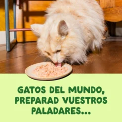 Filetes de caballa para gatos Edgard & Cooper 70 g