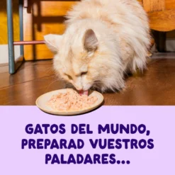 Filetes de salmón y atún para gatos Edgard & Cooper 70 g