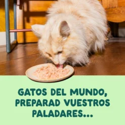 Filetes de salmón y caballa para gatos Edgard & Cooper 70 g