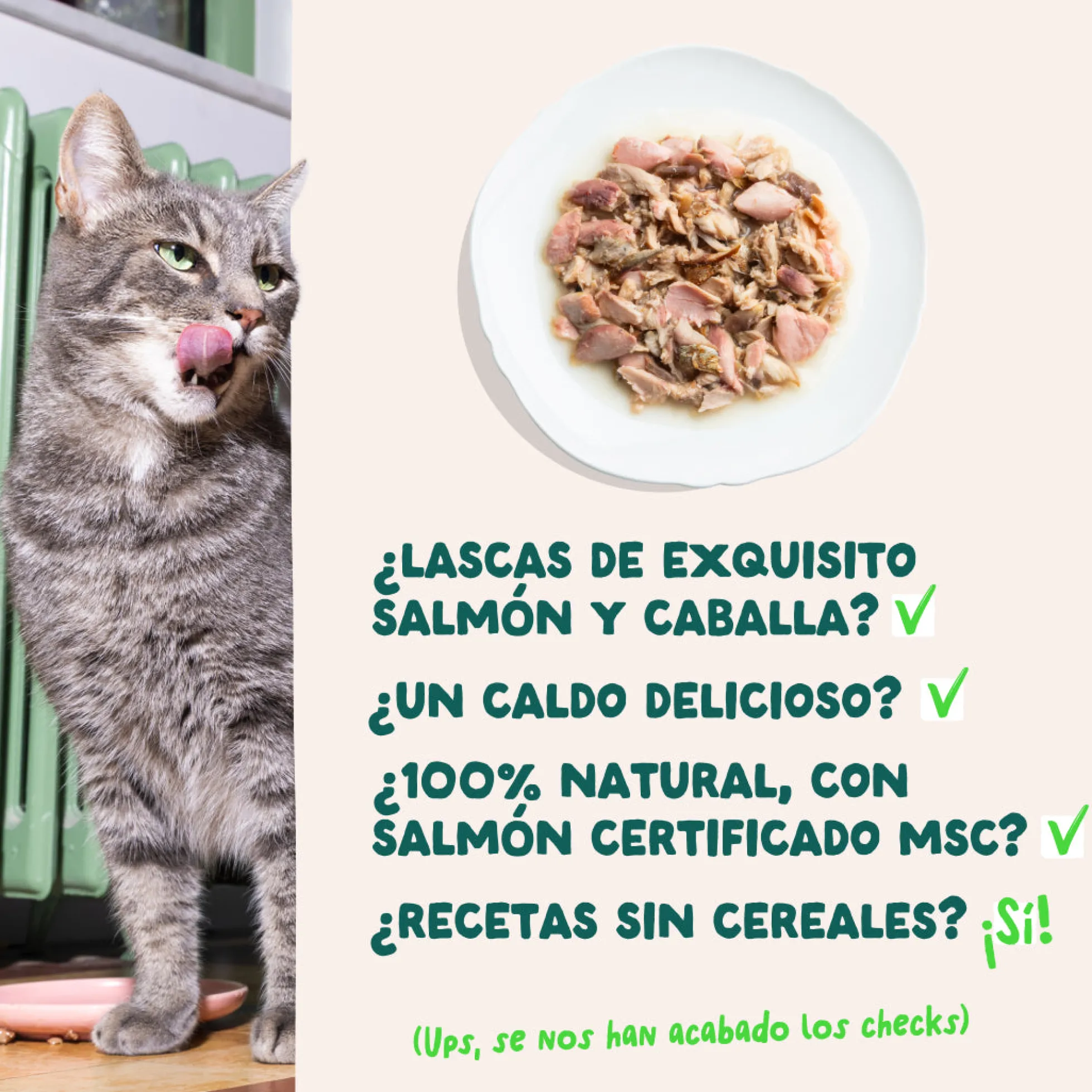 Filetes de salmón y caballa para gatos Edgard & Cooper 70 g