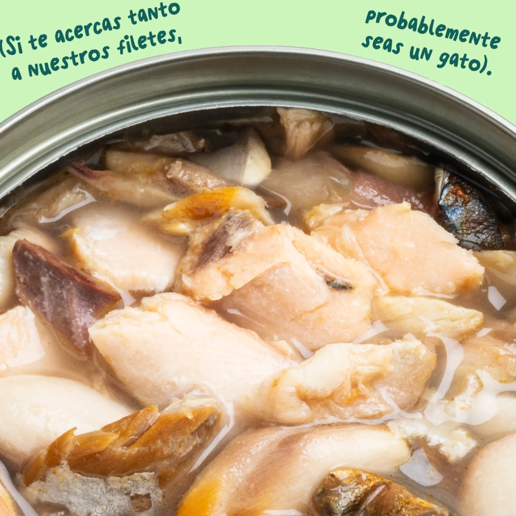 Filetes de salmón y caballa para gatos Edgard & Cooper 70 g
