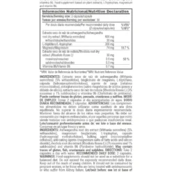 Focus (ashwagandha + L-triptófano) - 60 Cápsulas Vegetales - Mejora El Descanso - Masmusculo