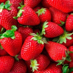 Fragancia Para Lámpara Catalítica Aroma Wild Strawberry (500ml) - Elimina Malos Olores, Perfuma Y Limpia El Ambiente