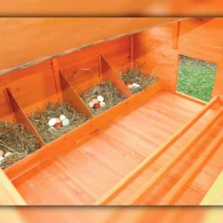 Gallinero Grande Para Exterior - Capacidad Para 8-12 Gallinas - Gallinero Calgary De Madera Con Cuatro Ponederos