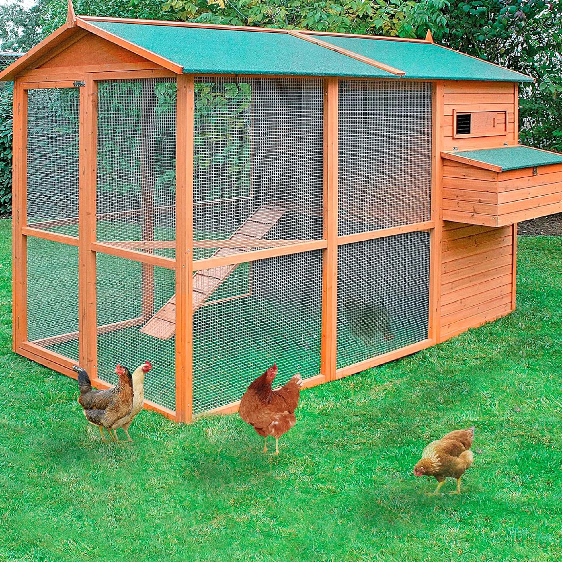 Gallinero Oslo Para 8-12 Gallinas - Gran Tamaño - Refugio Cubierto - Bandeja Extraíble - Incluye Perchas Y Ponedero