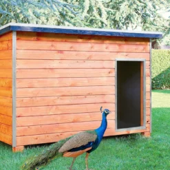 Gallinero Para Pavos Y Otras Grandes Aves - Caseta Para Animales - Refugio Para Cabras Y Ovejas
